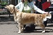Бриз Оф Чейндж Астериас Рубенс